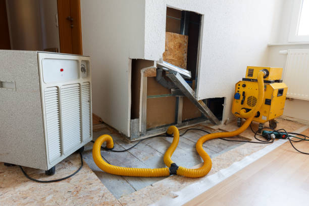 Best Mold Odor Removal Services  in Quincy, MA