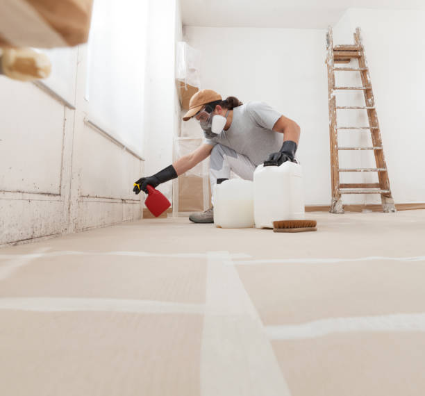 Asbestos and Lead Testing During Mold Inspection in Quincy, MA